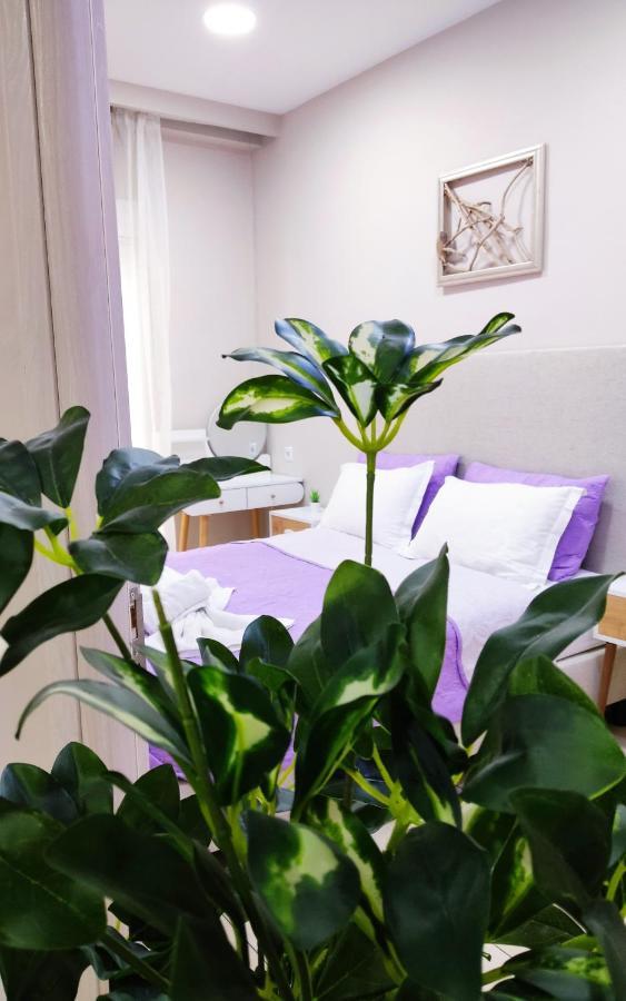 Boutique Lux Apartments Kavála ภายนอก รูปภาพ